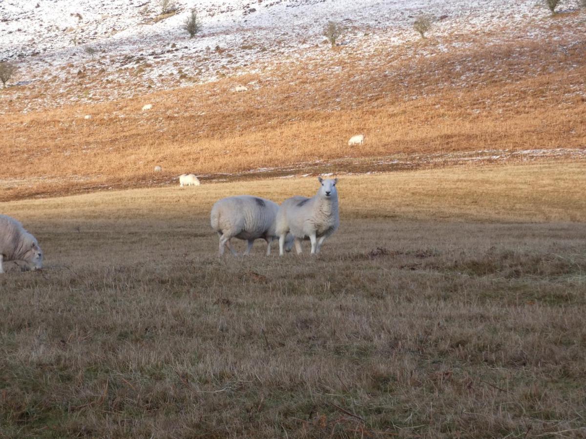 The Farmers Arms, Cwmdu Llanwddyn  ภายนอก รูปภาพ